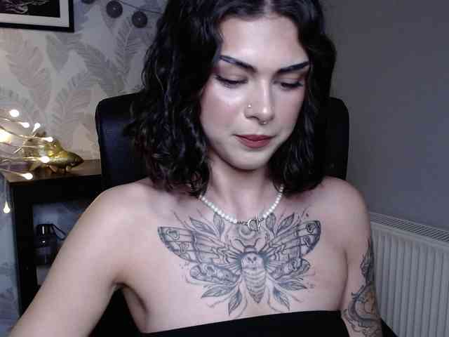 NovaSin webcam