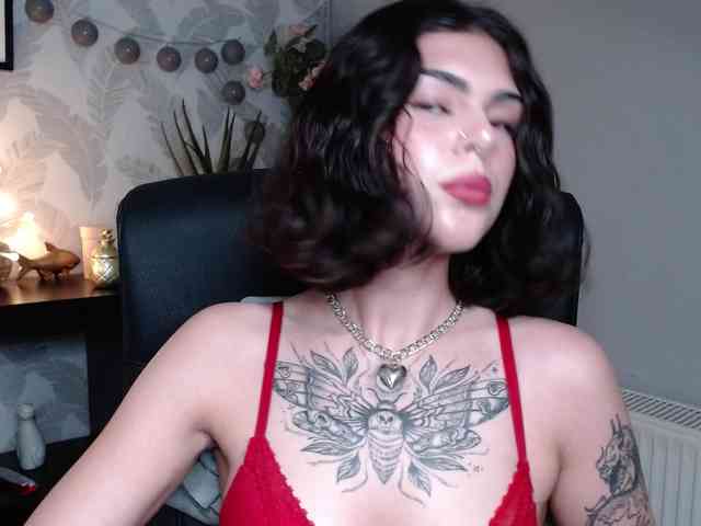 NovaSin webcam