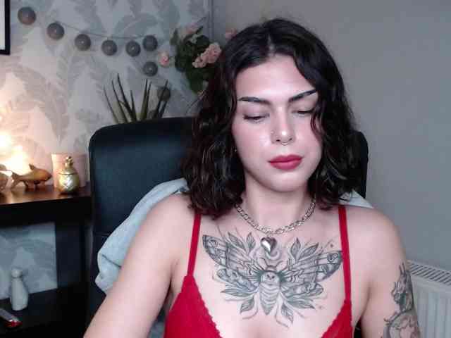 NovaSin webcam