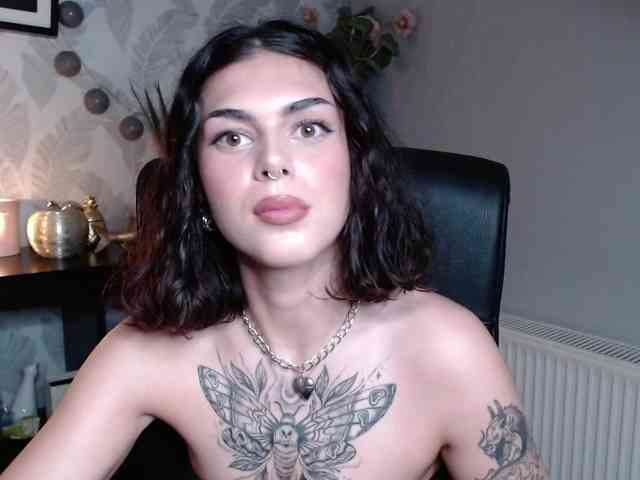 NovaSin webcam