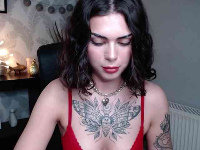 NovaSin webcam