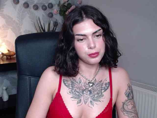 NovaSin webcam