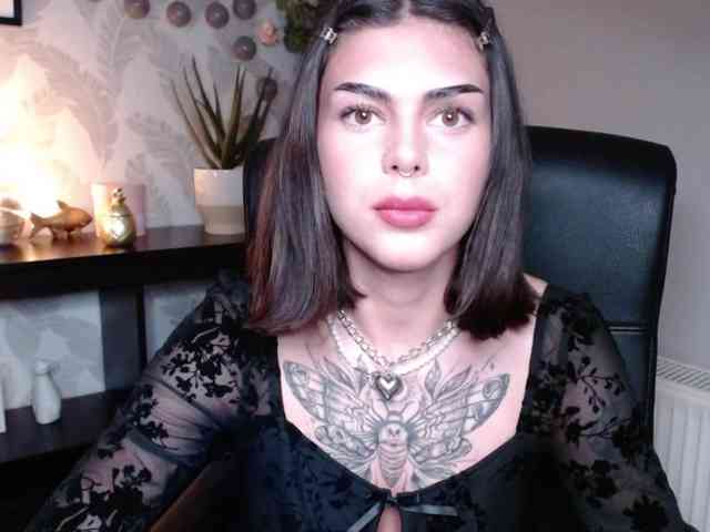 NovaSin webcam
