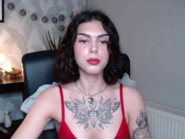 NovaSin webcam