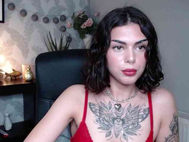 NovaSin webcam