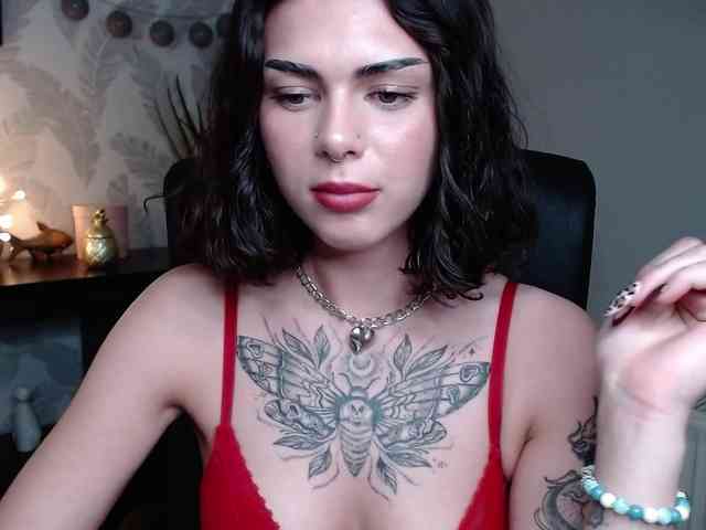 NovaSin webcam
