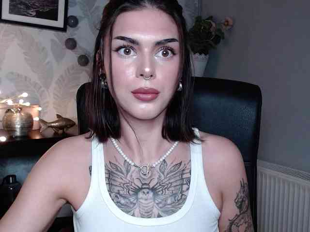 NovaSin webcam