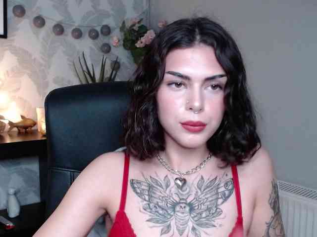 NovaSin webcam