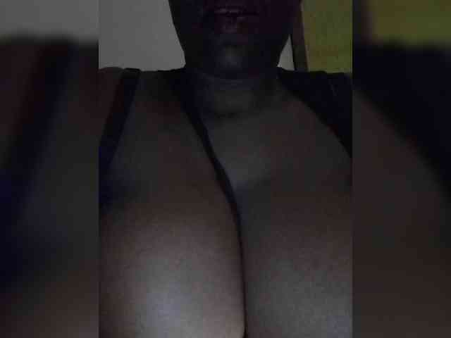 Assybusty webcam