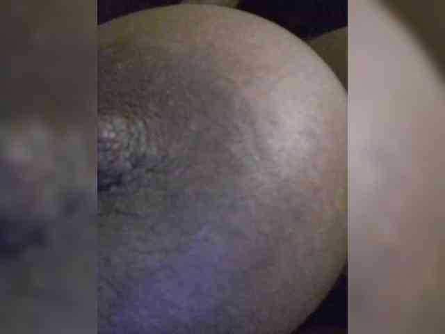 Assybusty webcam