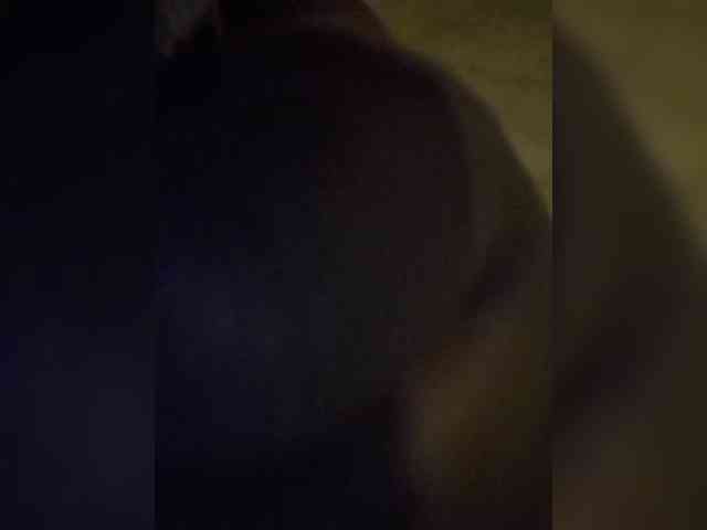 Assybusty webcam