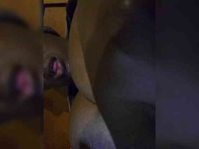 Assybusty webcam