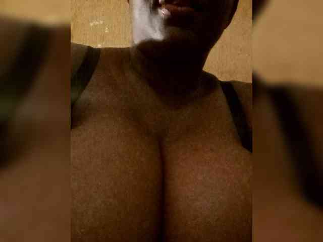 Assybusty