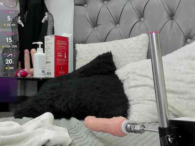 candibella webcam