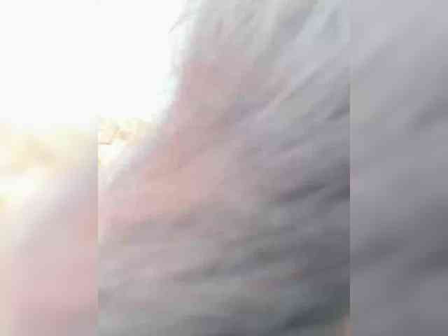 MarKaa0 webcam