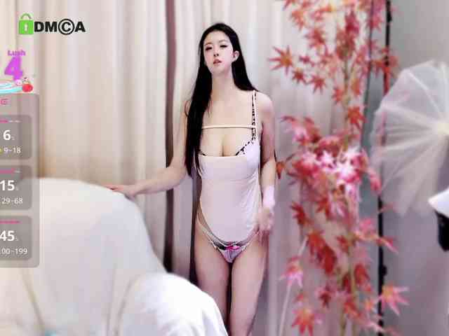 Nni166 webcam