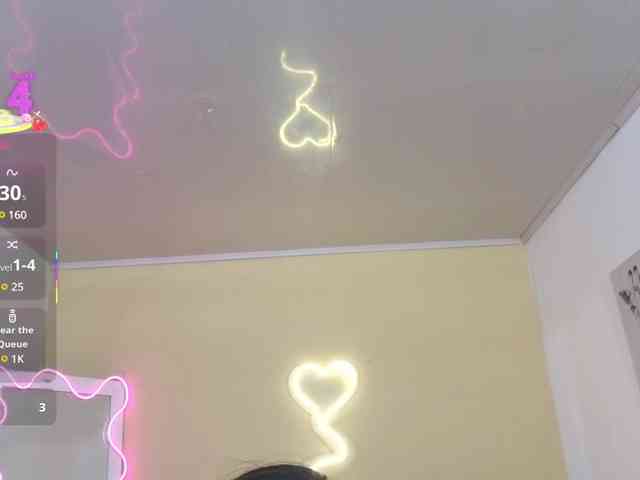 Vane-tay webcam