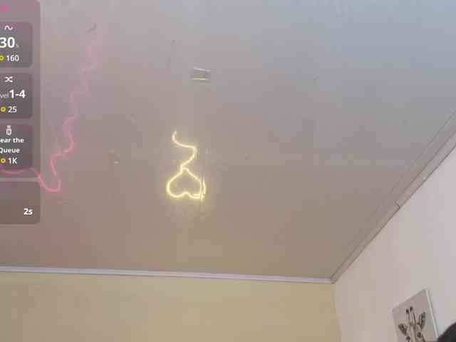 Vane-tay webcam