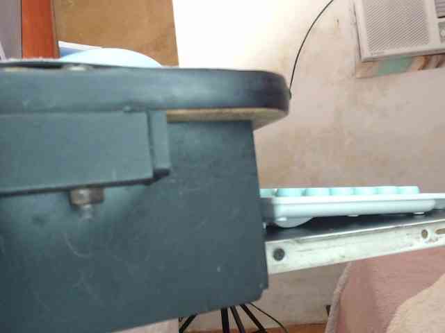 Freyja-Garcez webcam