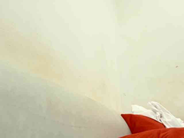 Hoelygrail webcam