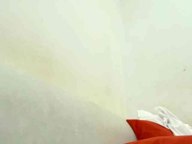 Hoelygrail webcam