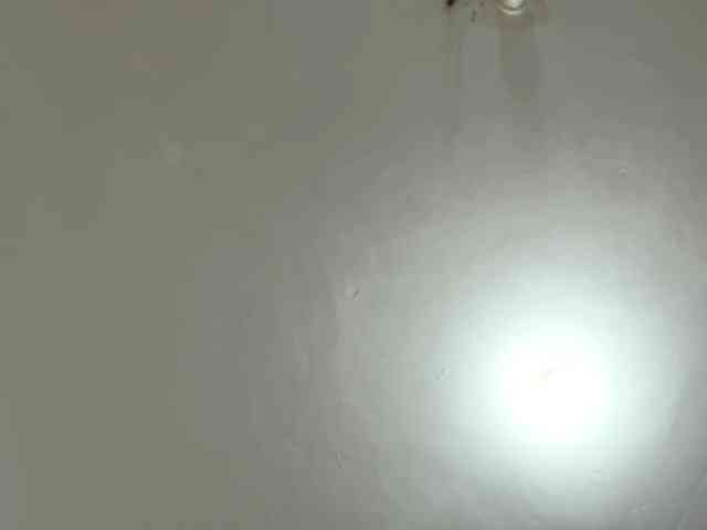Hoelygrail webcam