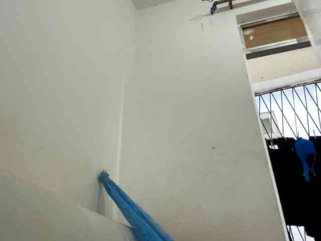 Hoelygrail webcam