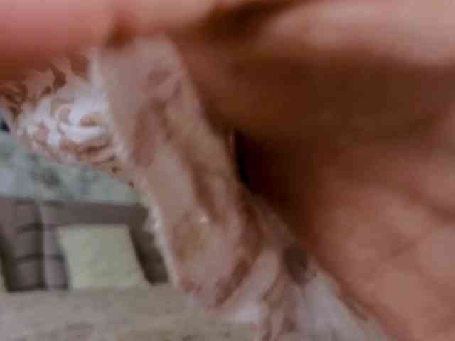 KatieBrown webcam