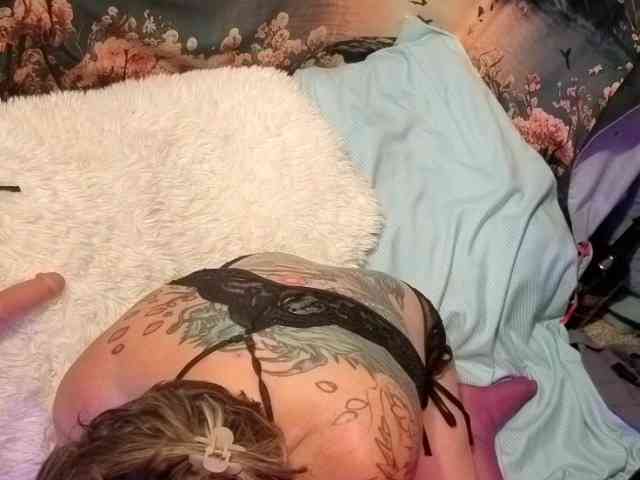 Dahliadulce webcam