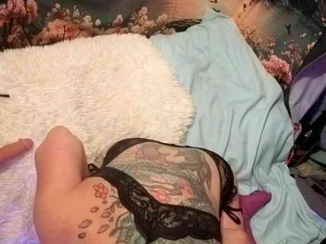 Dahliadulce webcam