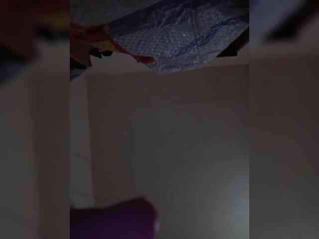 Susanzinkora webcam