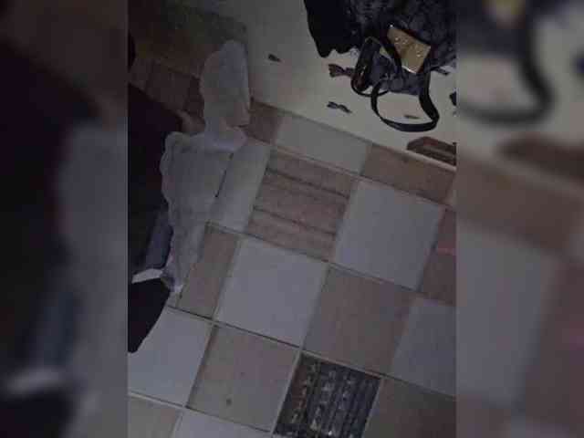 RosseRoss webcam