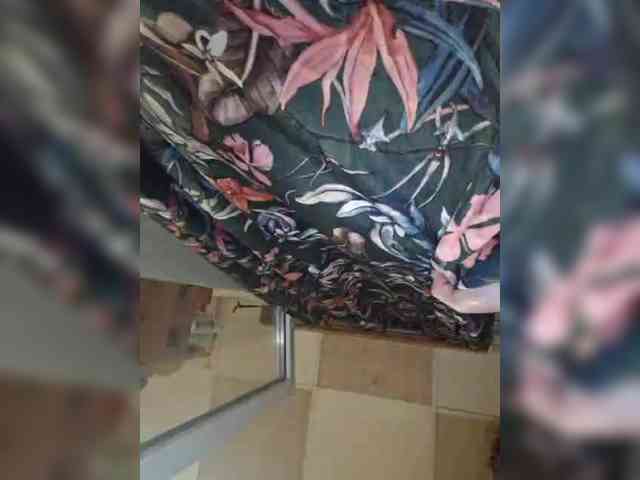RosseRoss webcam