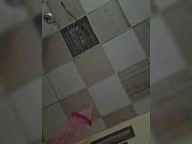 RosseRoss webcam
