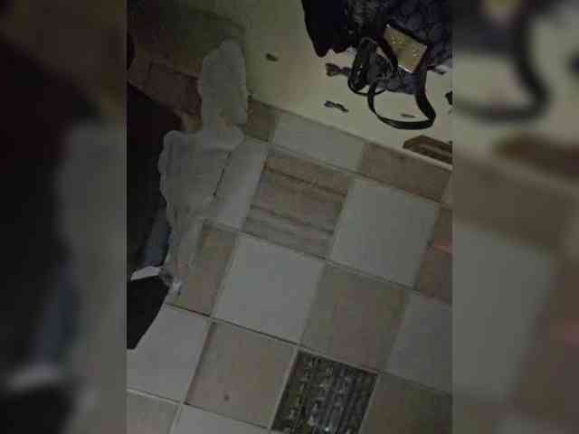 RosseRoss webcam