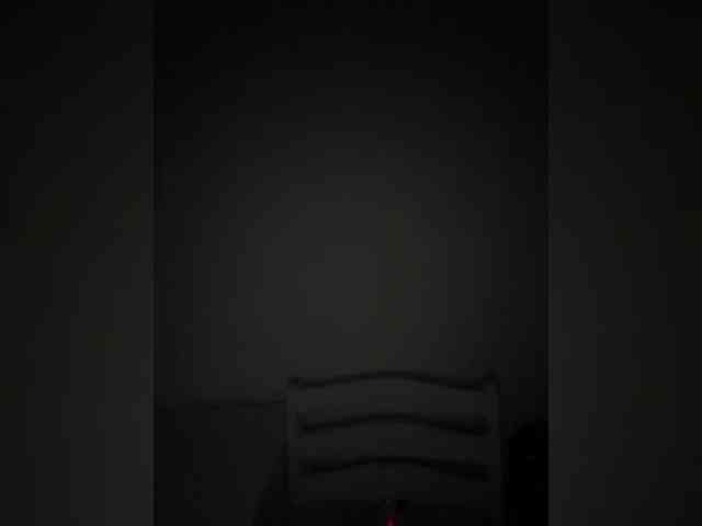 BellaGreymodel webcam