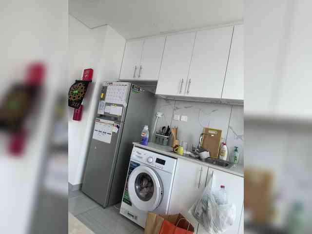 BellaGreymodel webcam