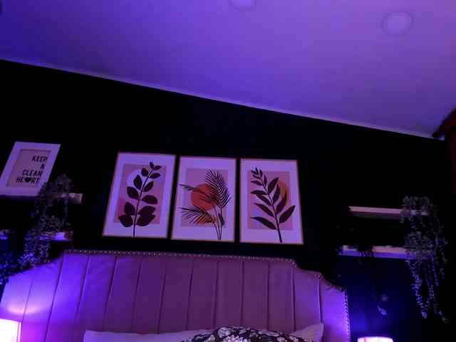 artemisadh webcam