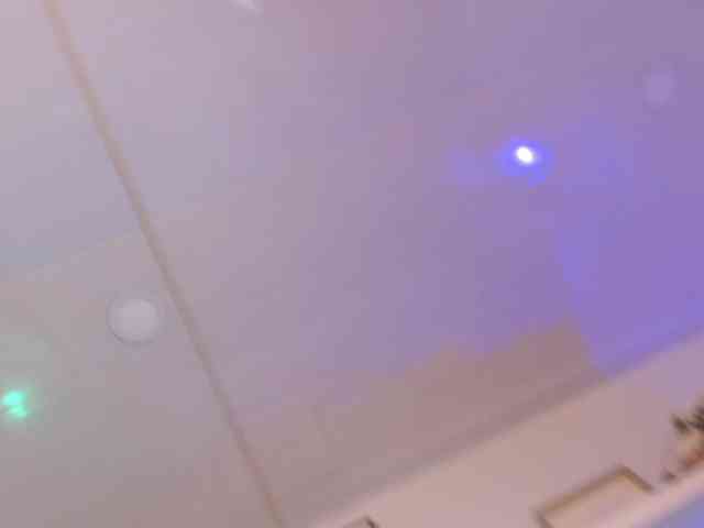 artemisadh webcam