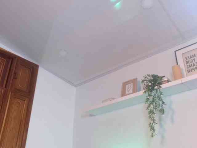 artemisadh webcam