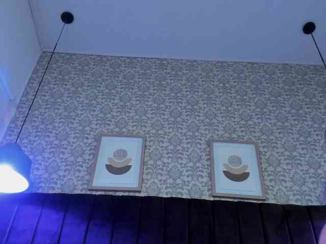 artemisadh webcam