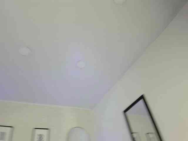 artemisadh webcam