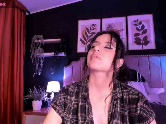 artemisadh webcam
