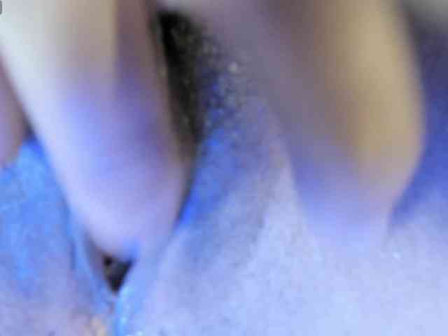 artemisadh webcam