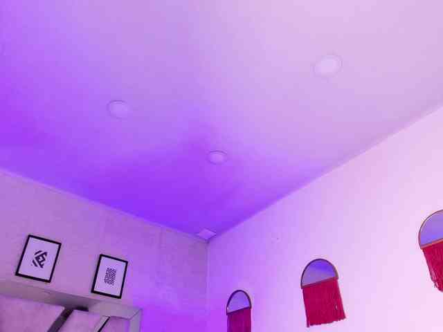 artemisadh webcam