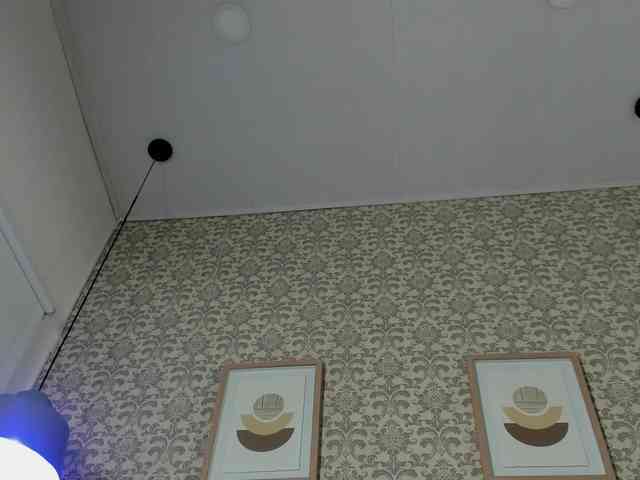 artemisadh webcam