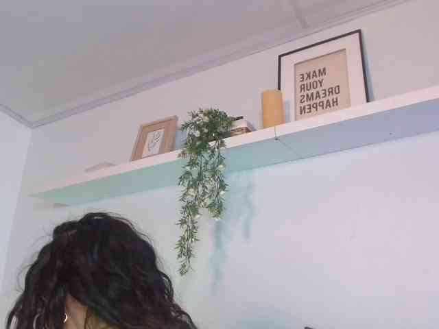artemisadh webcam