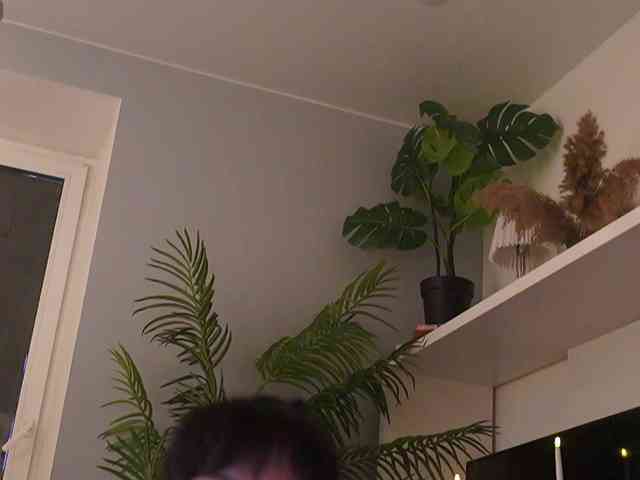 Varvara- webcam