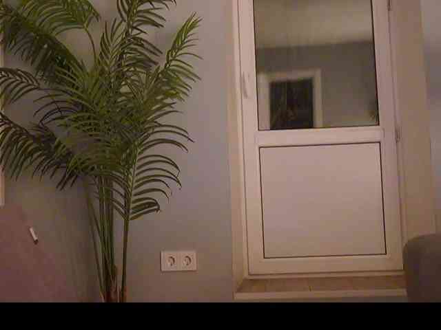 Varvara- webcam