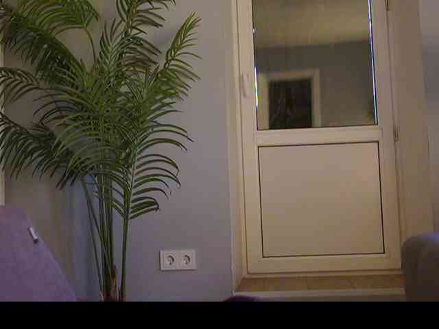 Varvara- webcam
